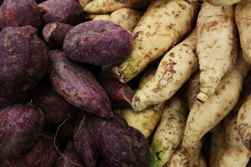 batatas doce brancas e roxas