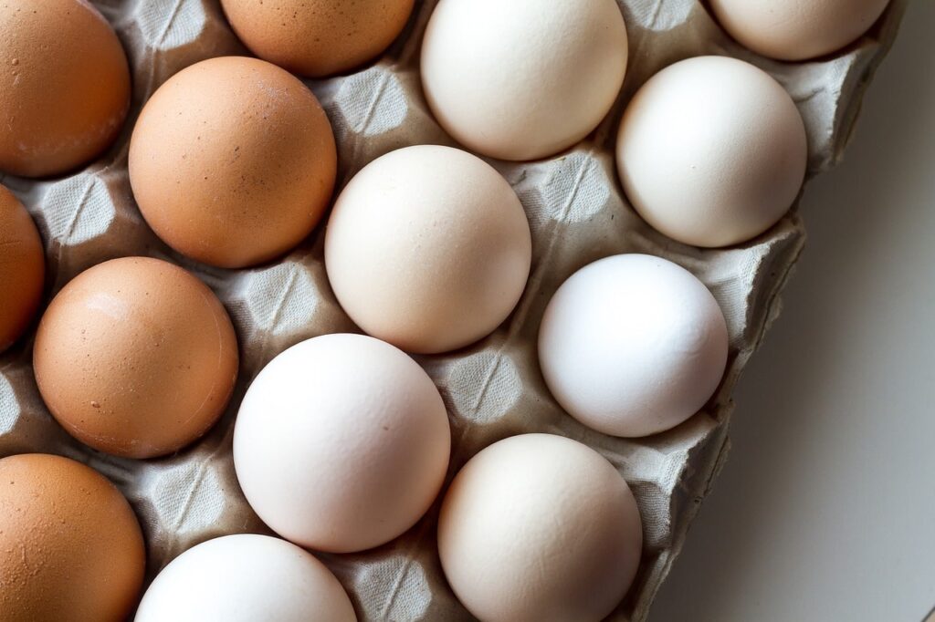 caixa de ovos brancos e marrons